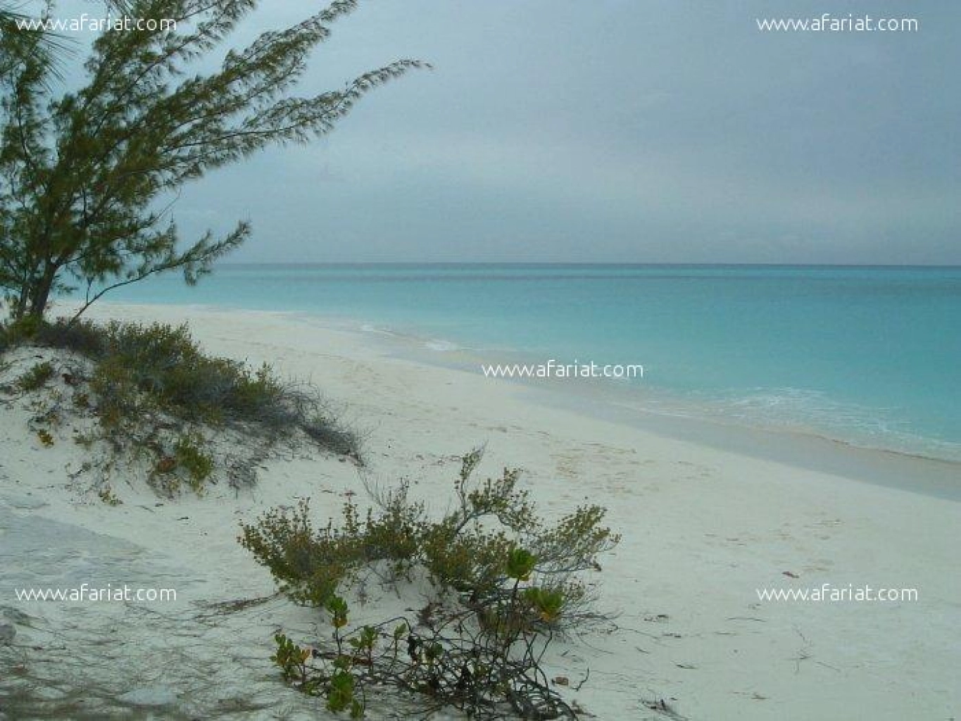 Terrain au Bord de la plage d’EZZahra Kélibia