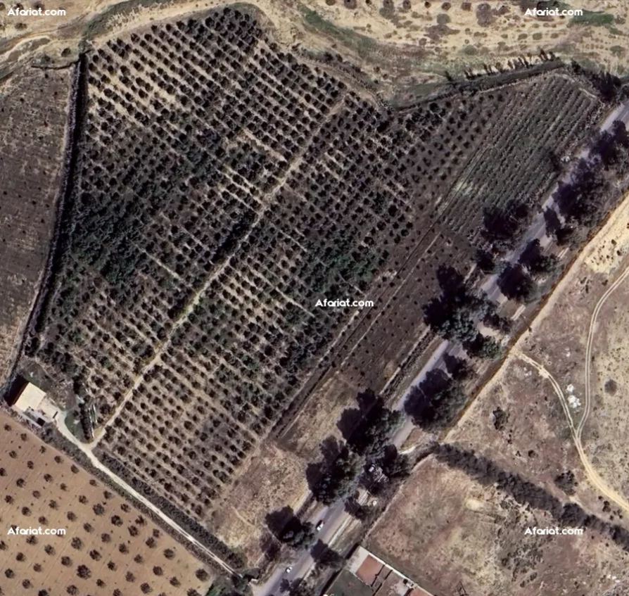 À Vendre – Ferme Agricole à Rakkada, Kairouan