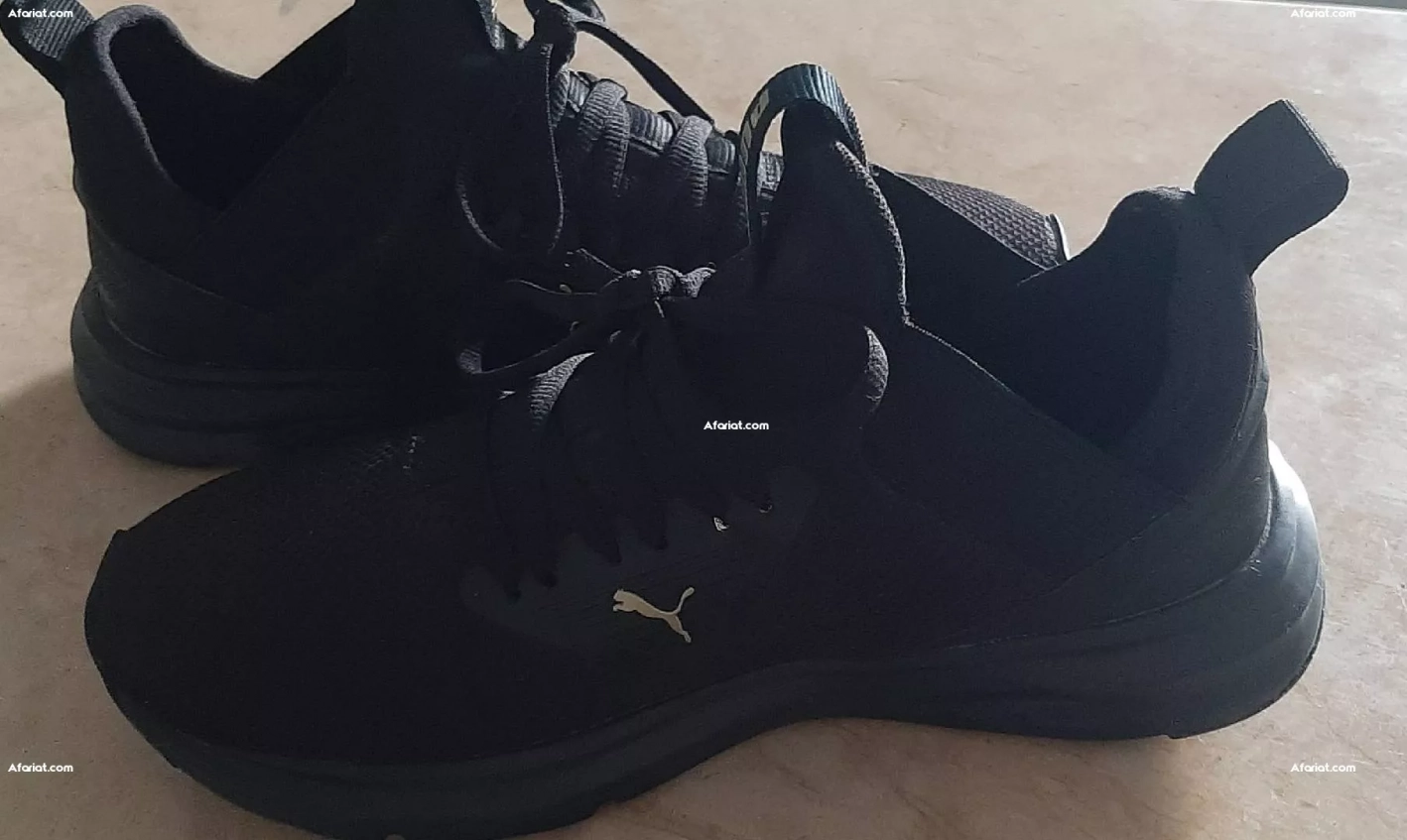 puma d'origine