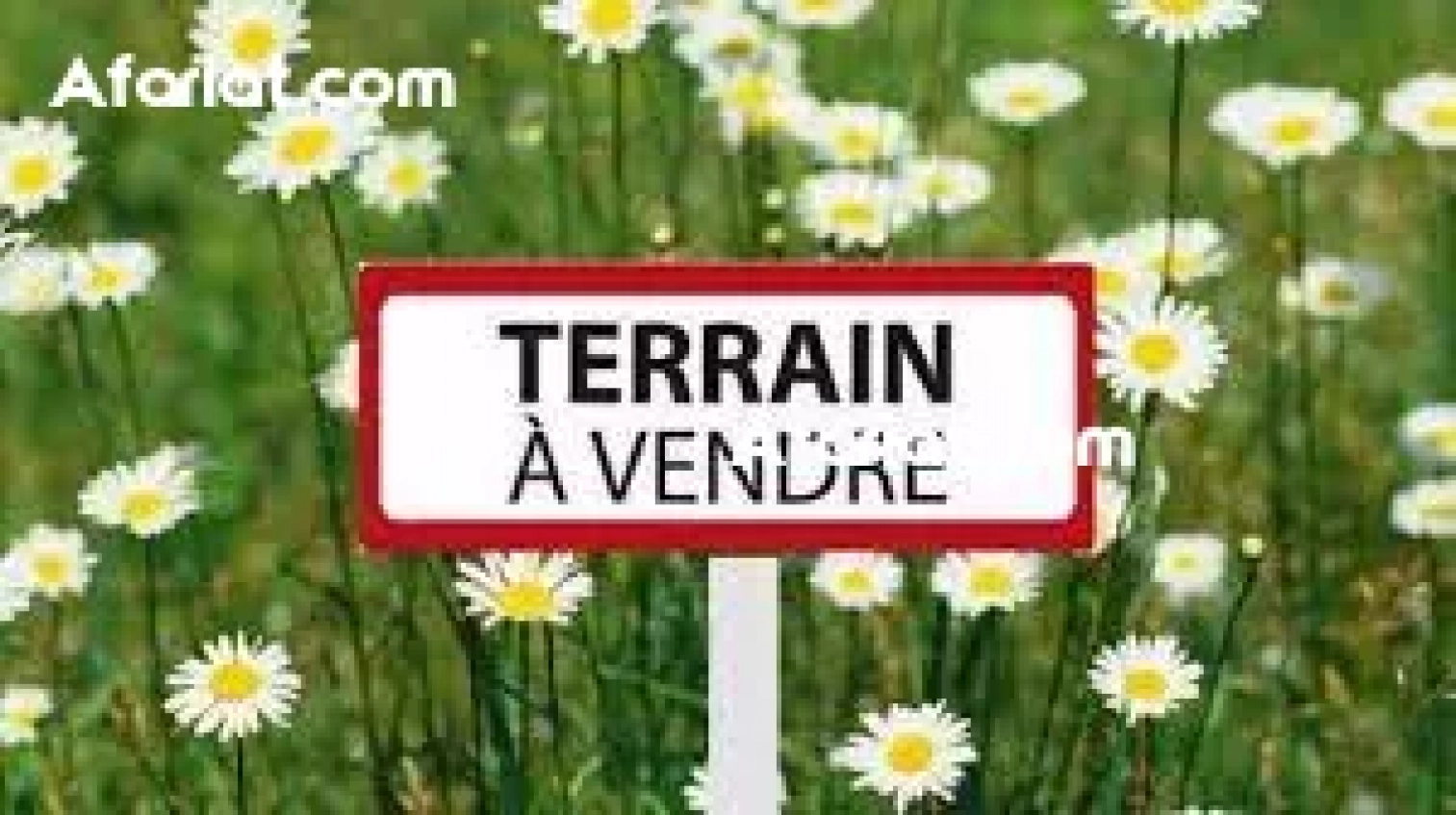 Terrain DIASCIA 2 (Réf: T1788) SUR LA ROUTE DE BIR BOUREGBA