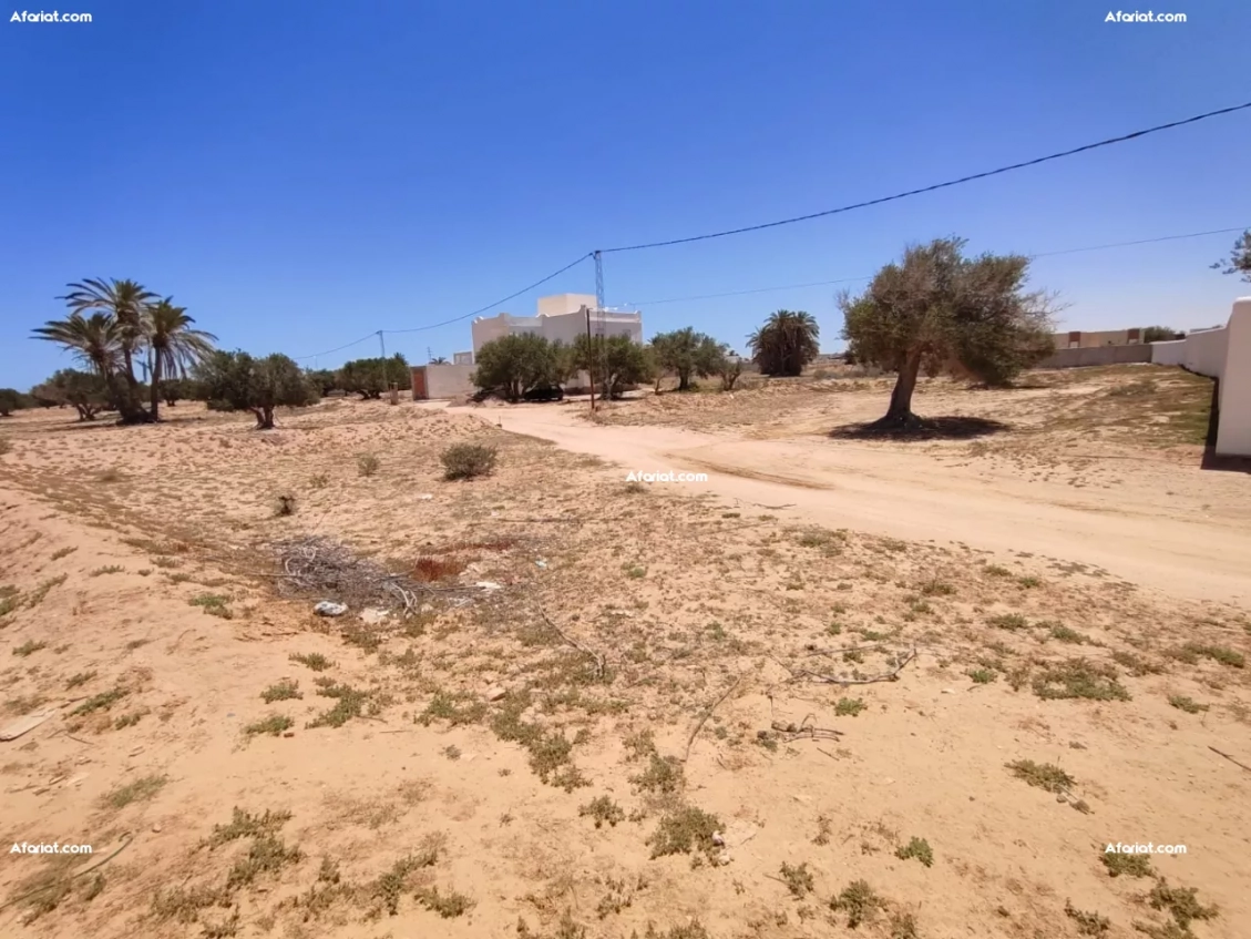 Terrain à Vendre entre Houmt Souk et Midoun