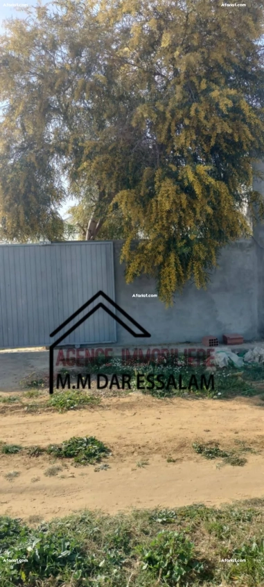 terrain agricole à vendre