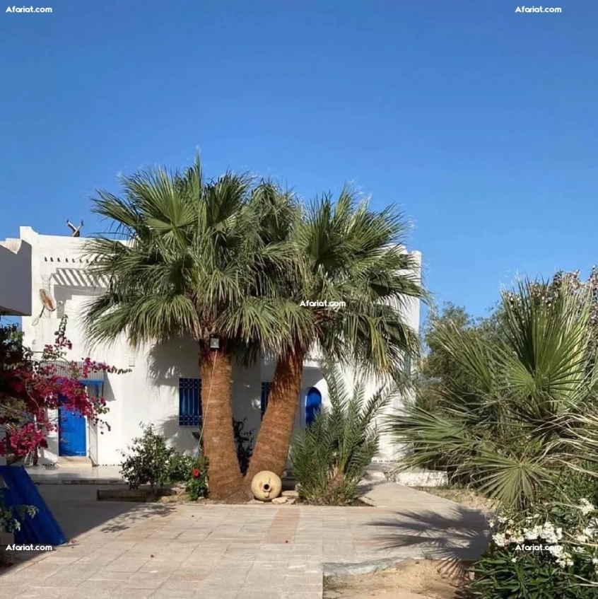 locacation Bungalows a Djerba