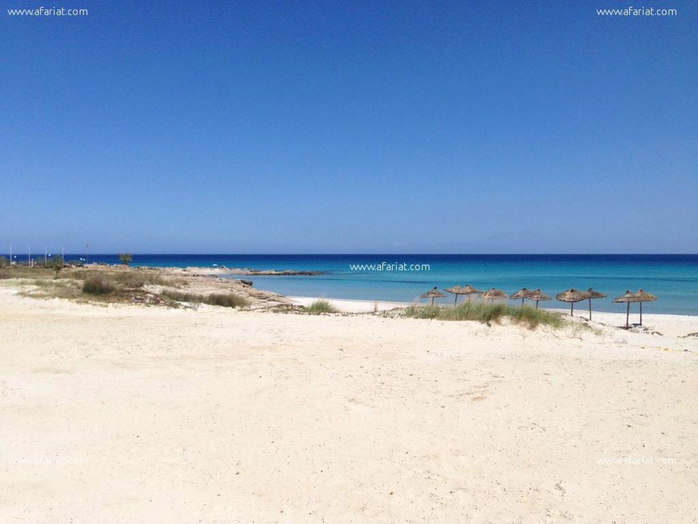 un terrain au bord de la mer à kélibia