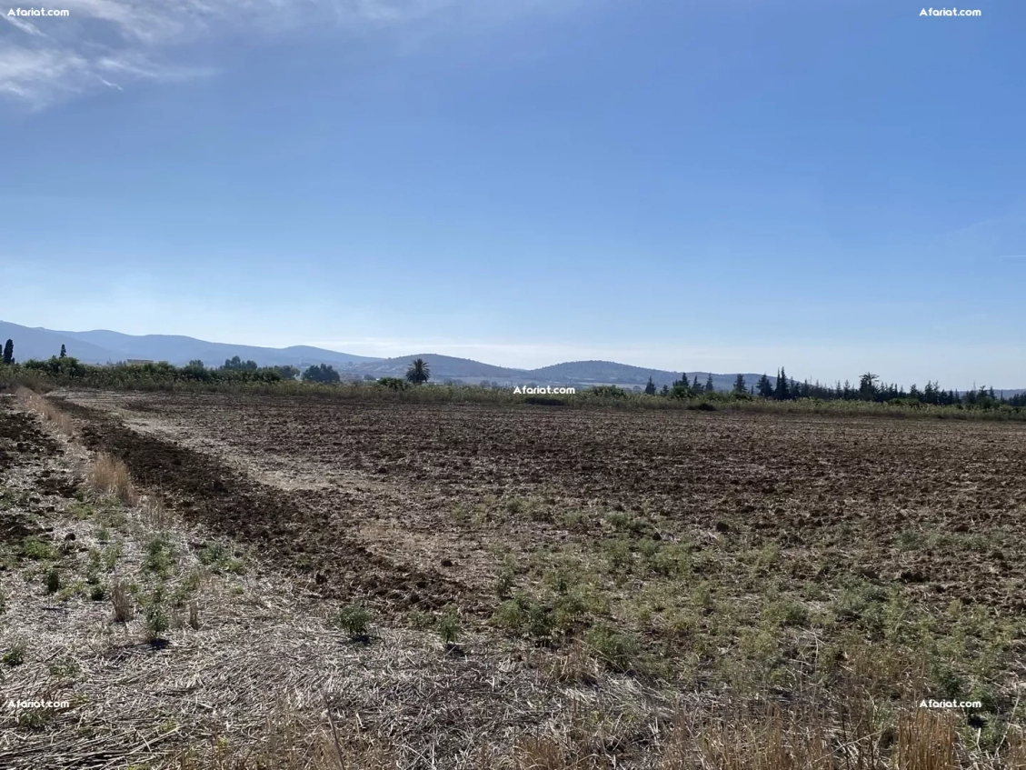 terrain a vendre