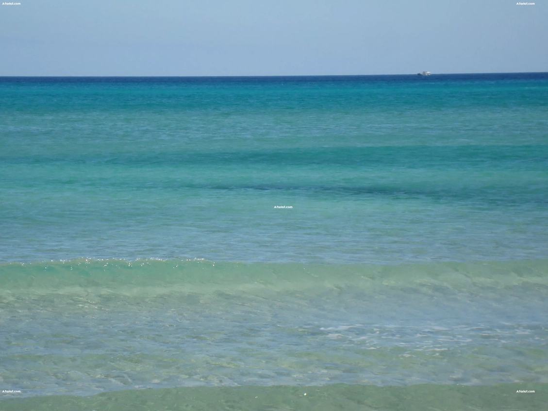 opportunité unique de 5 ha