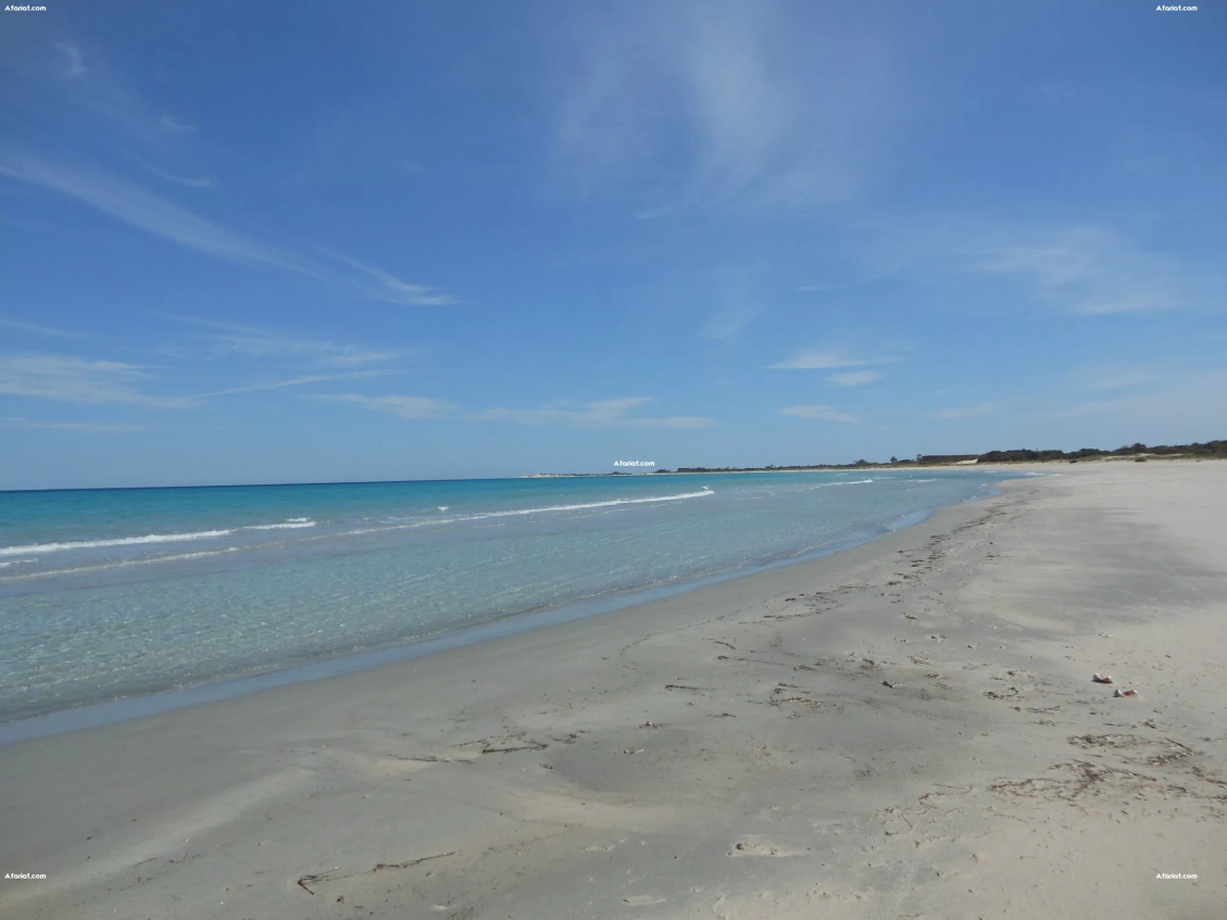 affaire de 5 hectare au cap bon