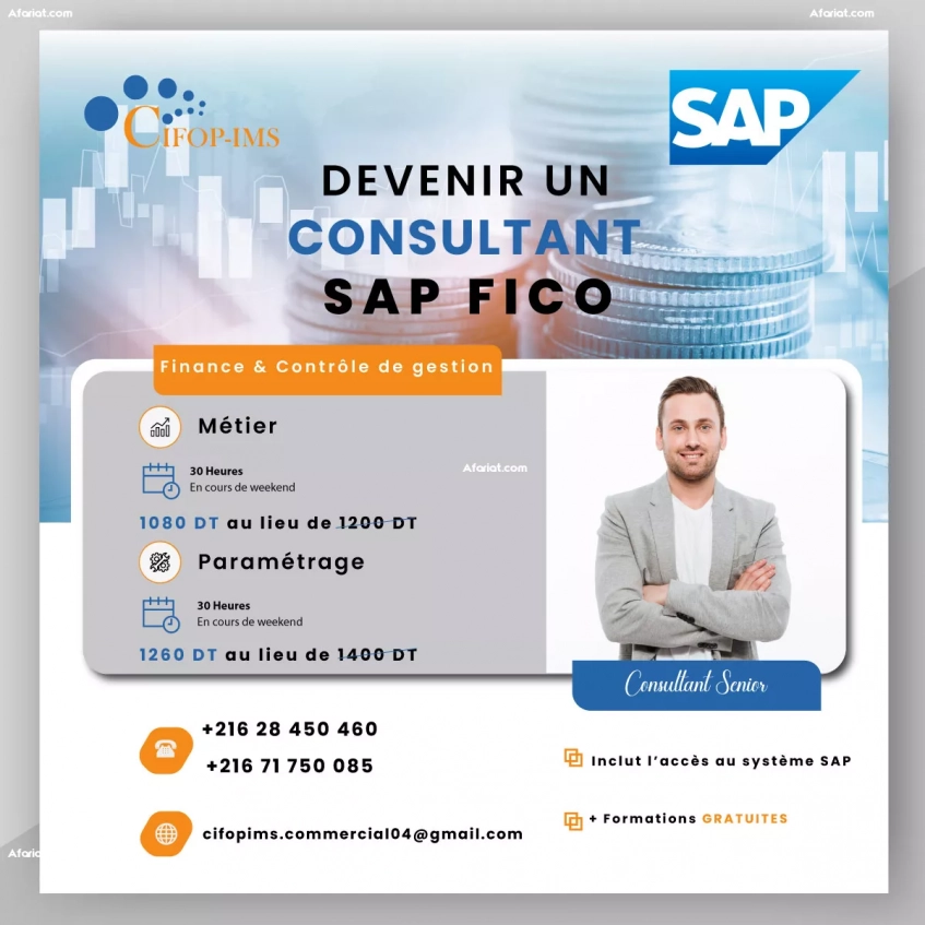 Formation SAP Fico