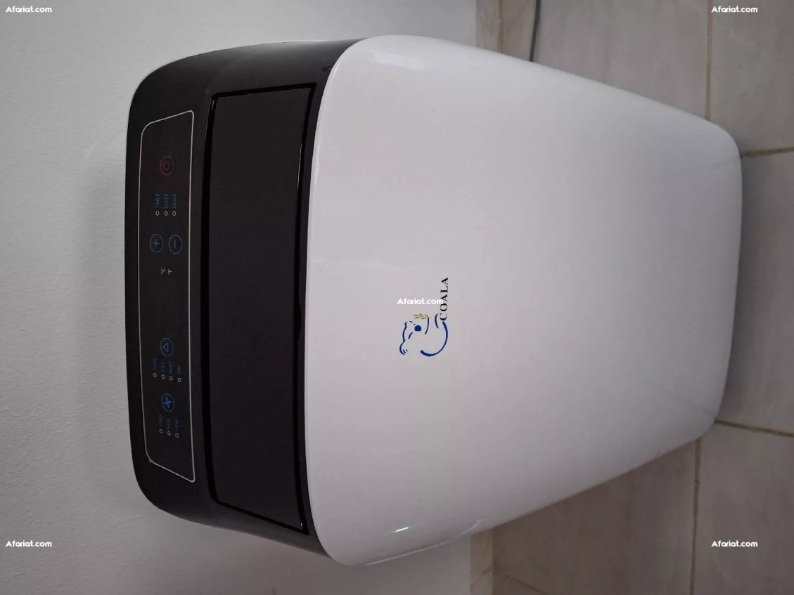 Climatiseur Mobile Chaud et Froid 12000 Btu