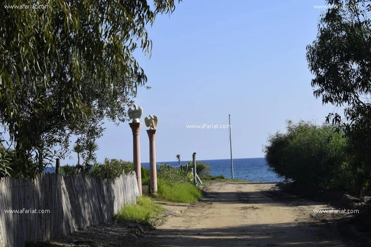 Terrain a kerkouane  plage