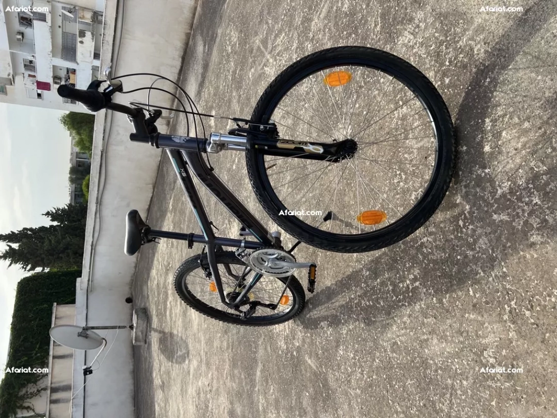 velo bianchi