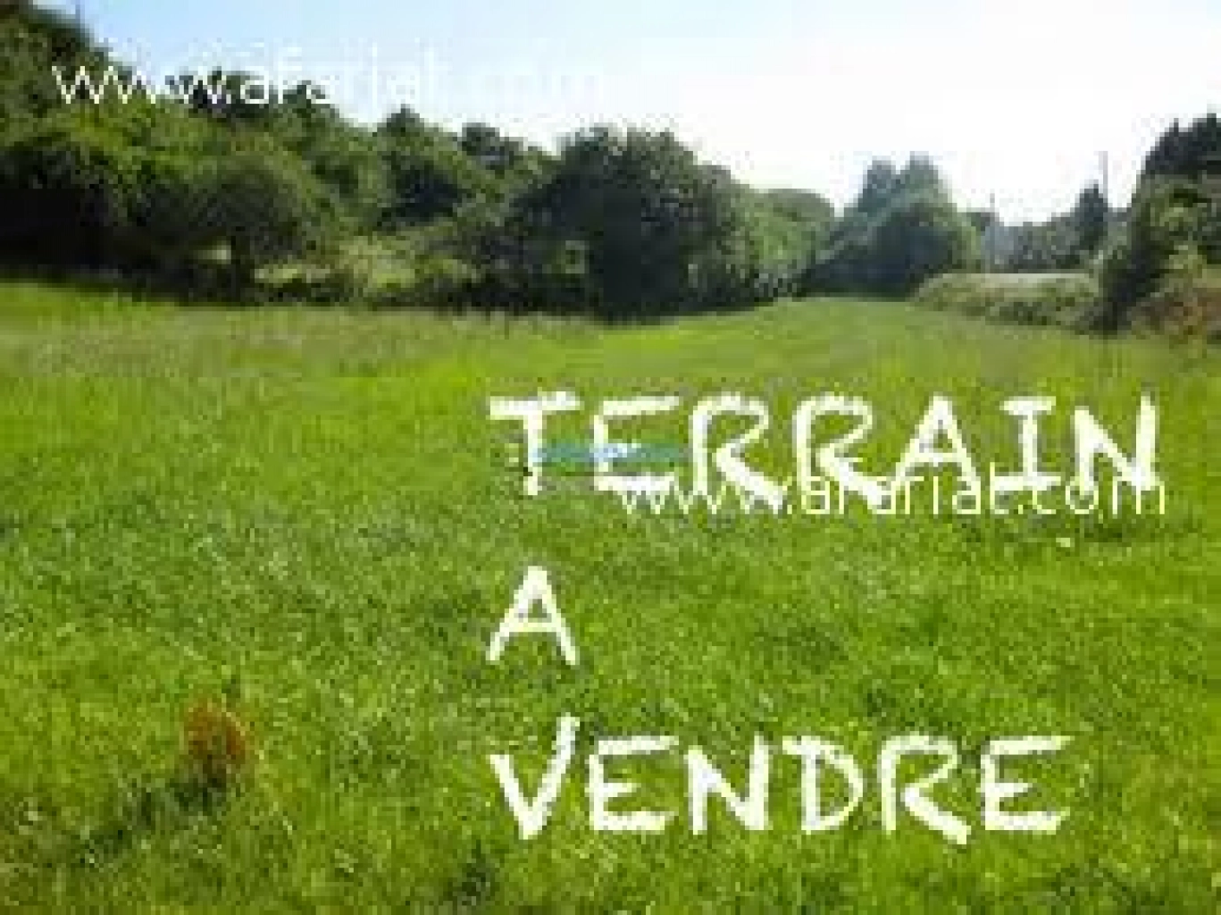 Terrain TULIPE 2 (Réf: T414)