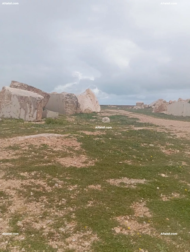 À Vendre – Terrain de 3,5 Hectares avec Gisement de Marbre – Proc