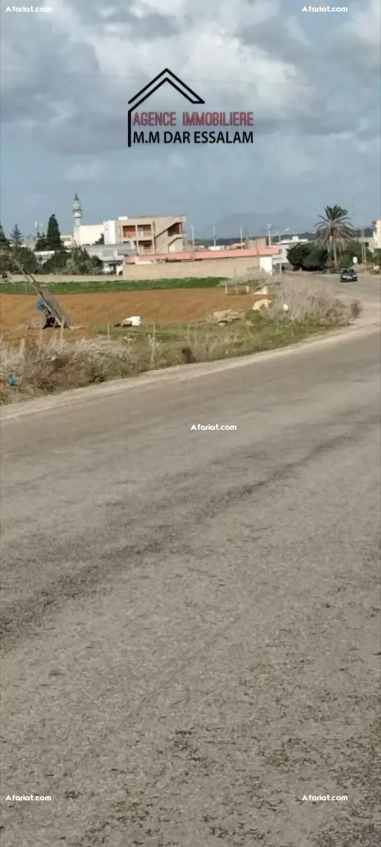 terrain sur la route principal