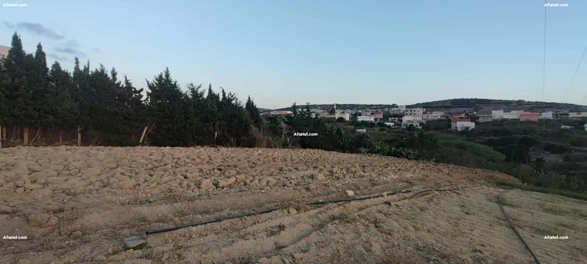 RafRaf Ville
