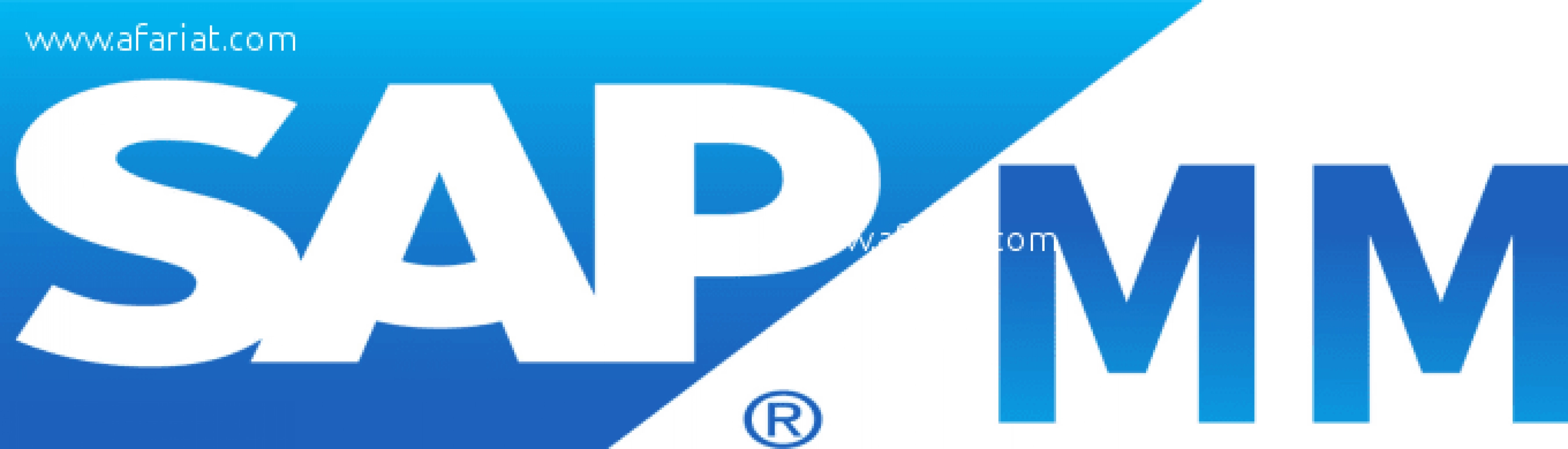Formation Professionnelle en SAP MM