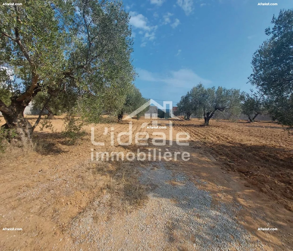 À Deux Pas de Tout superbe terrain à vendre