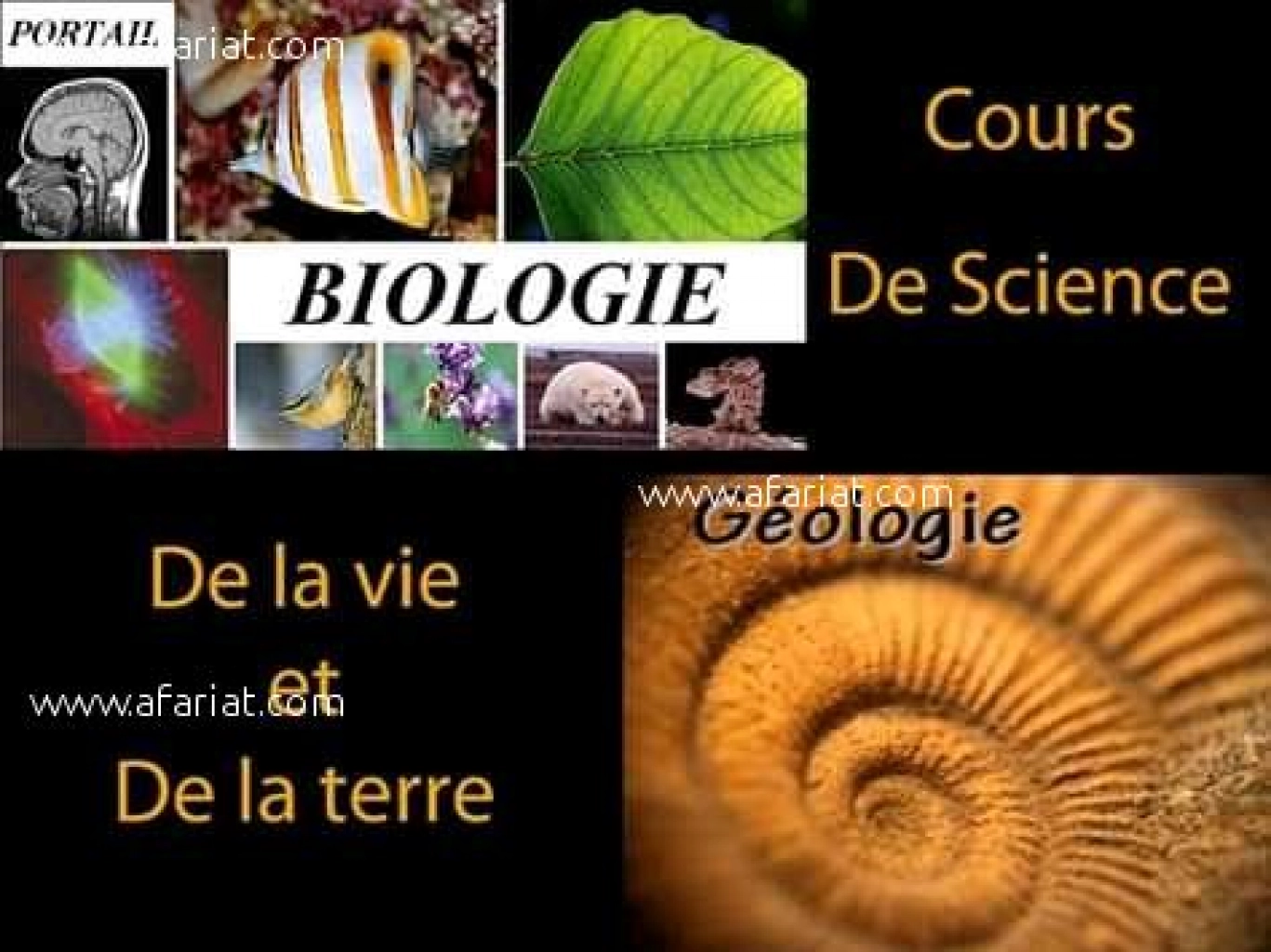 Cours particuliers