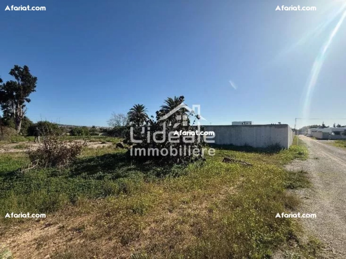 À vendre – Terrain à fort potentiel à Hammamet