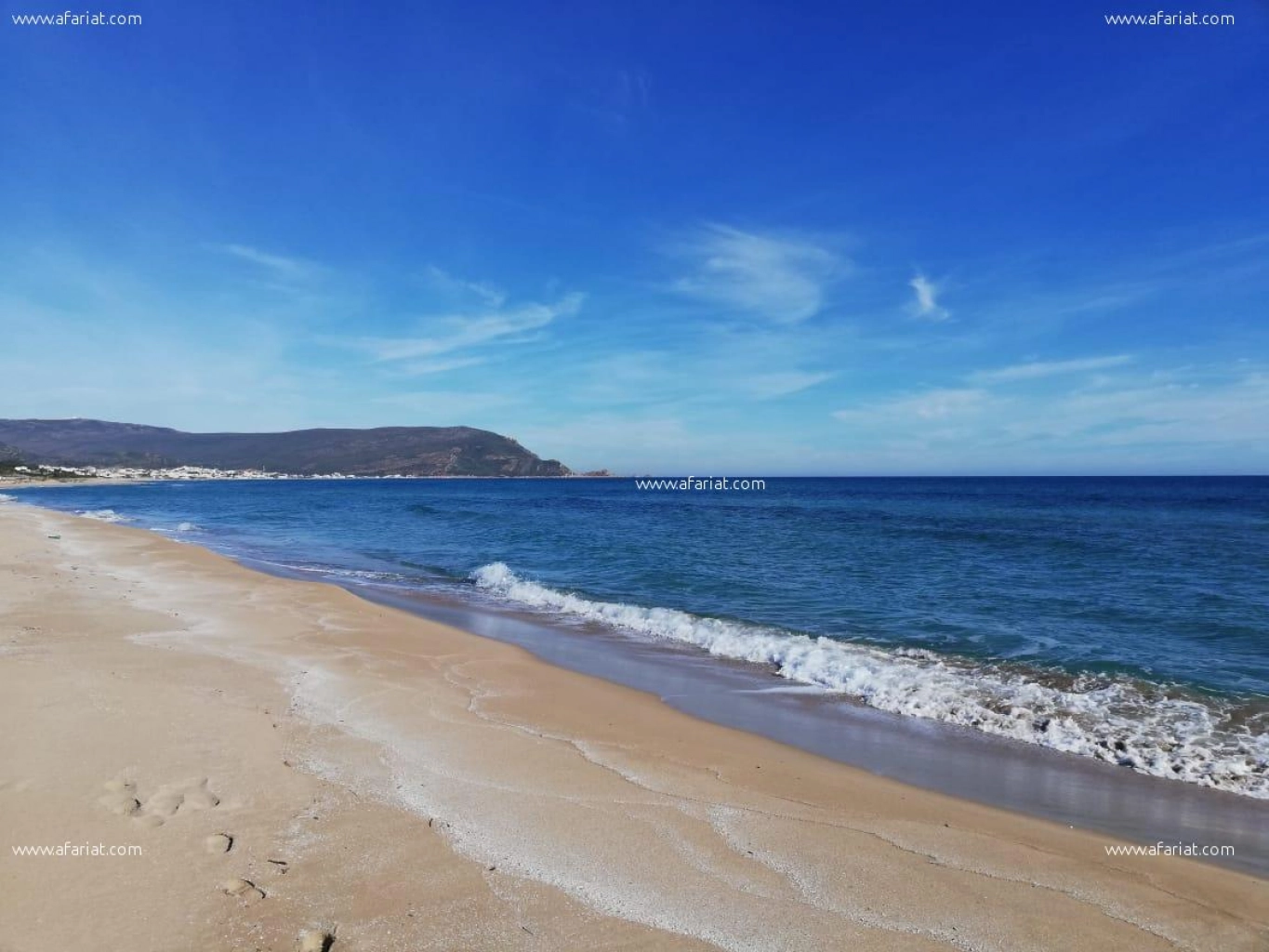 Terrain à haouaria plage