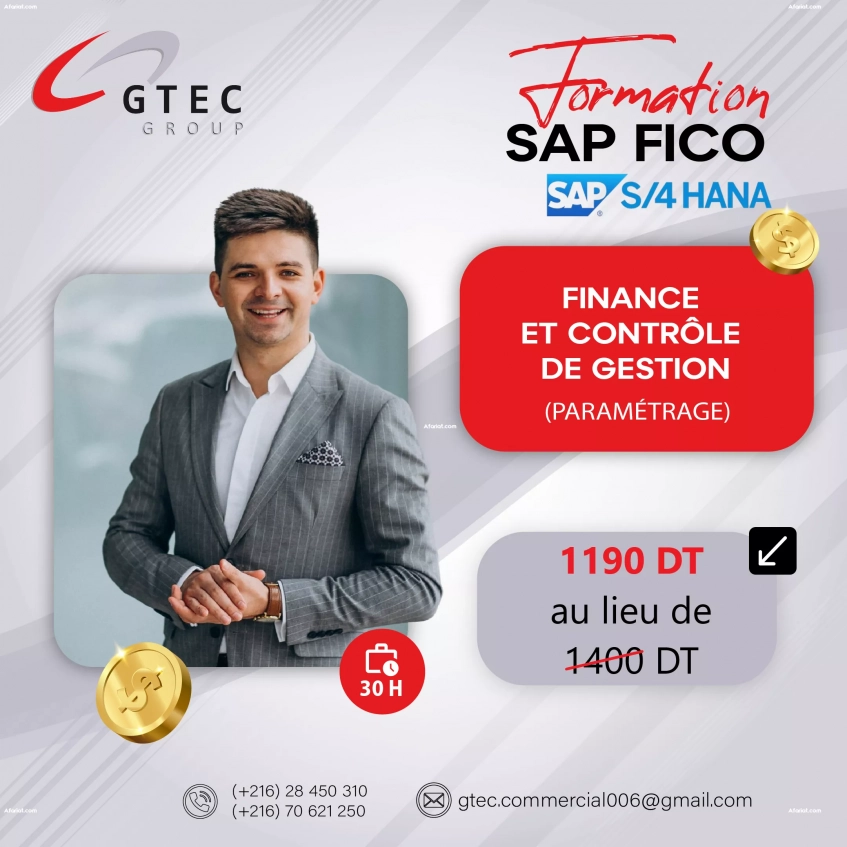 Formation SAP Fico S/4HANA Paramétrage