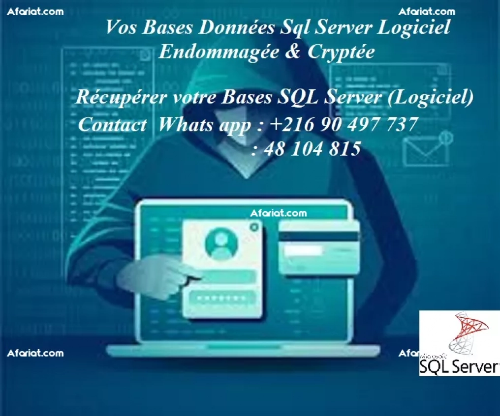Recuperation Vos Bases SQL Server (Logiciel)