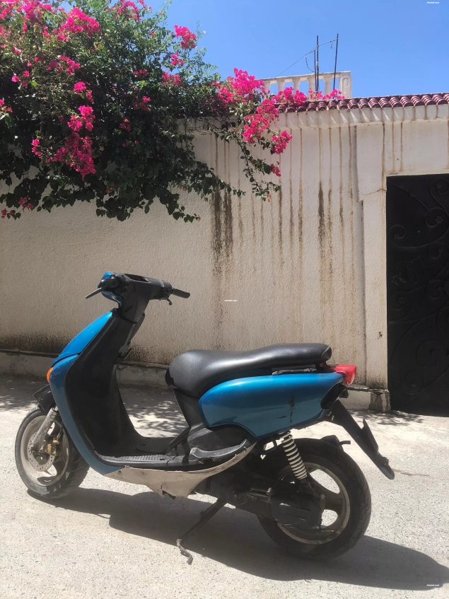 Ovetto a vendre