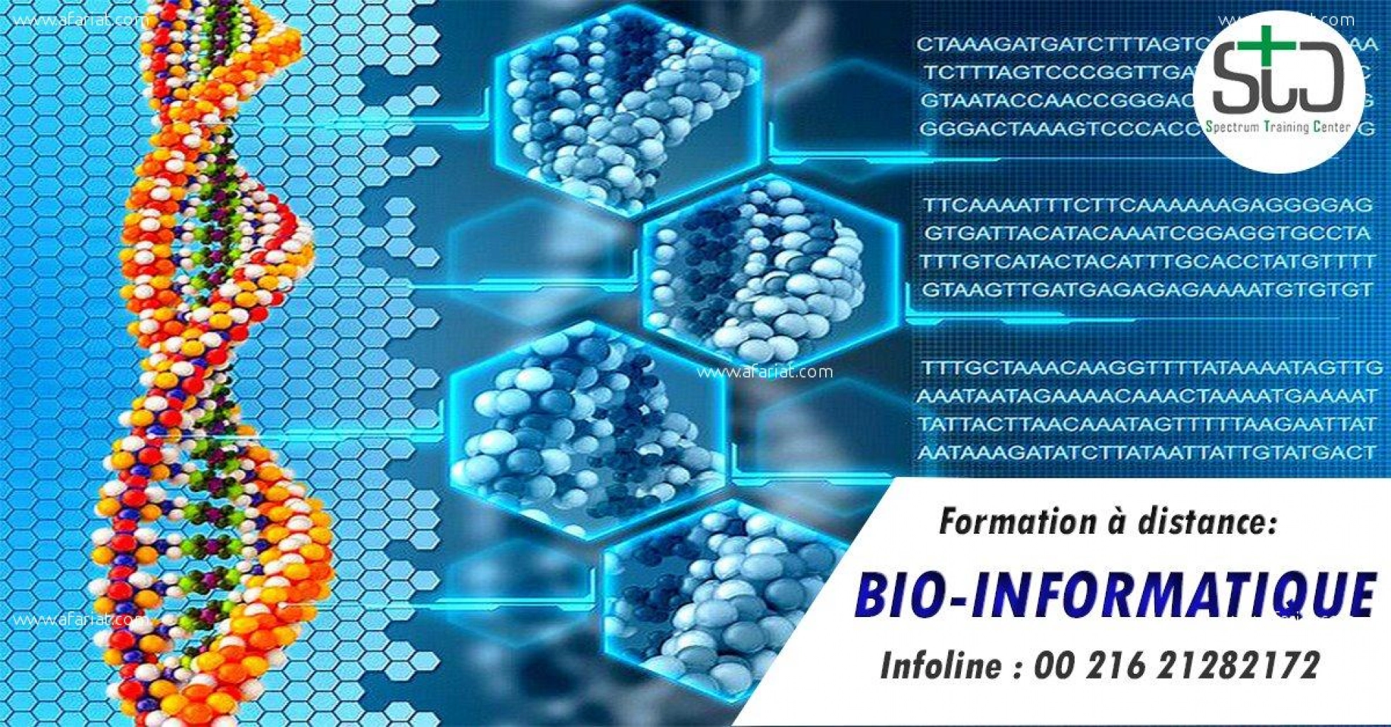 formation en Bioinformatique
