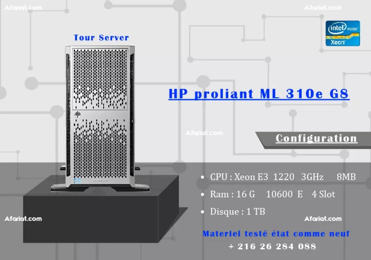 HP proliant  ML 310 e   G8