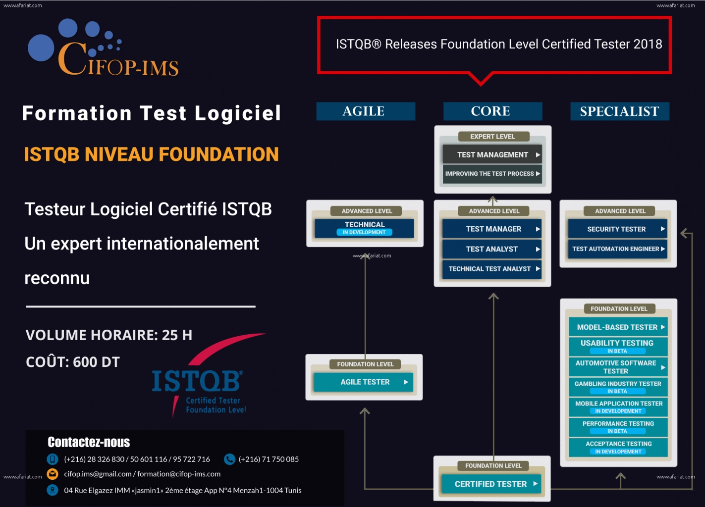 Formation ISTQB niveau Foundation/ GSM:25315269