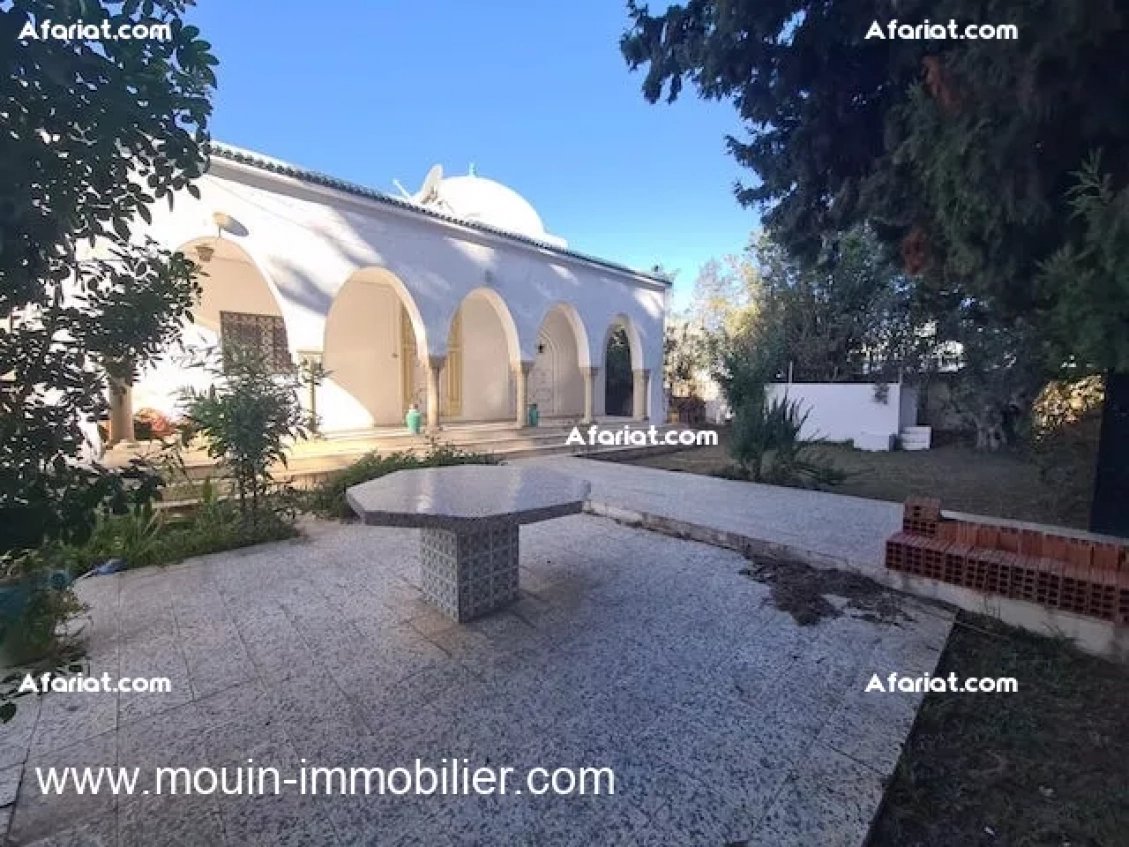 Villa Oliva AL3673 Hammamet