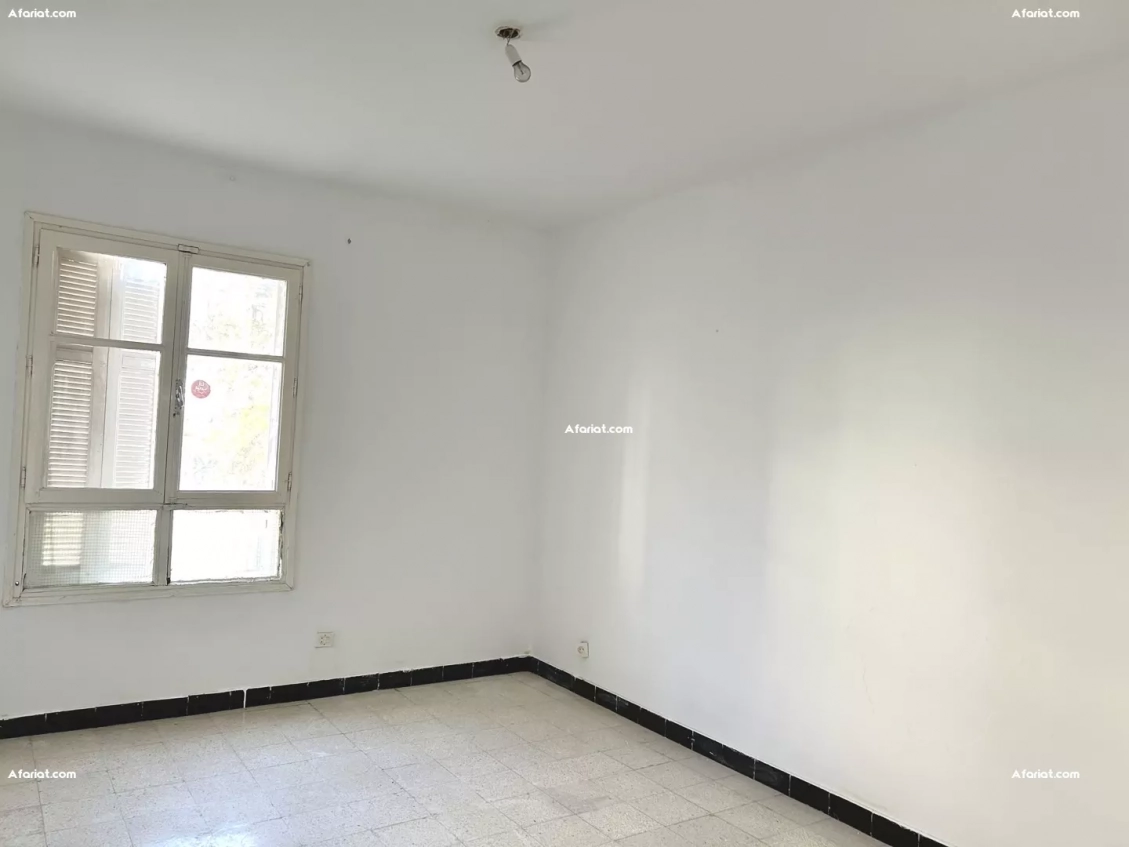 Apparemment S2 Cité Olympique