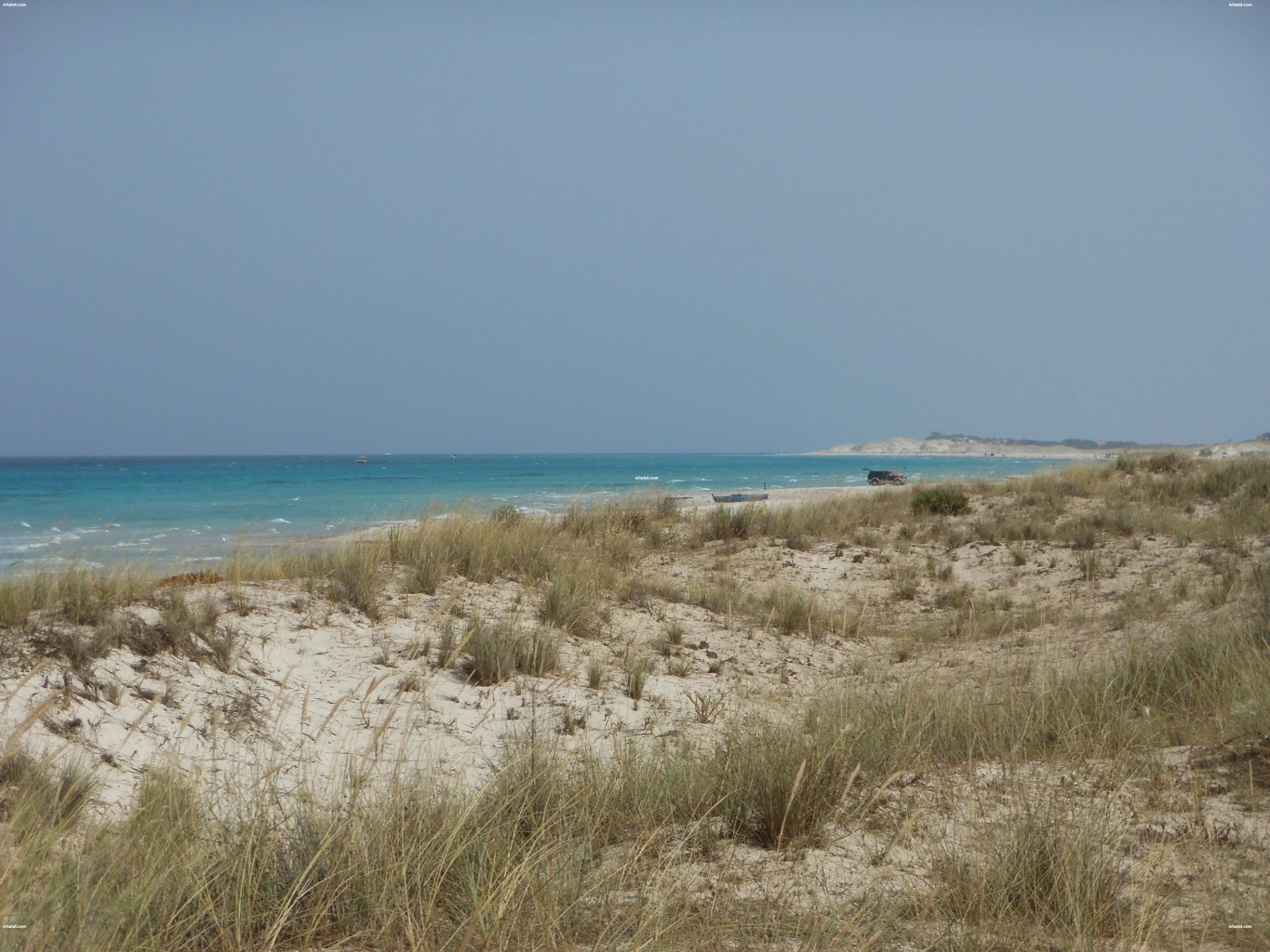 saisir votre opportunité