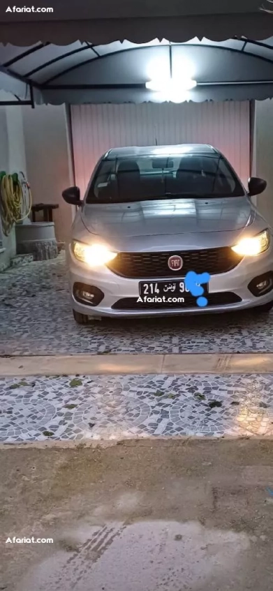 belle tipo