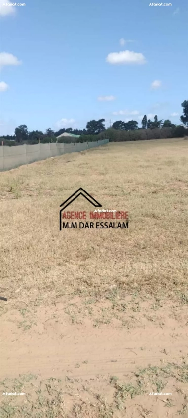 terrain agricole à vendre