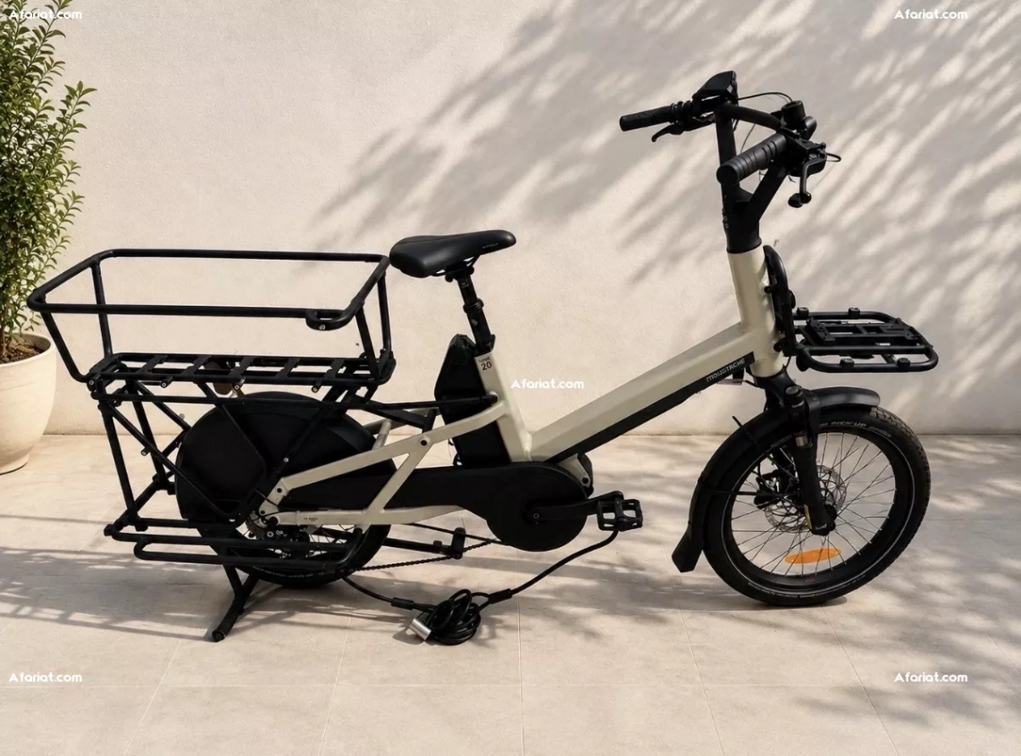 vélo électrique