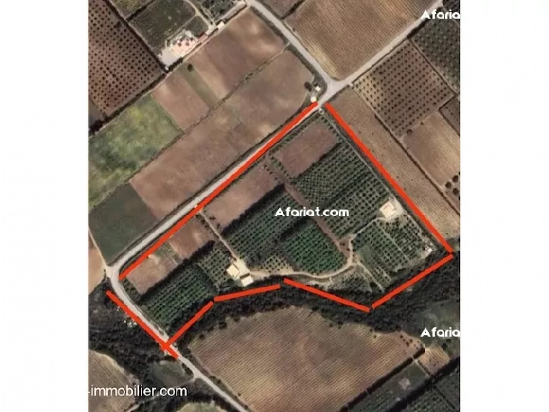 Ferme Hela T1227 Nabeul