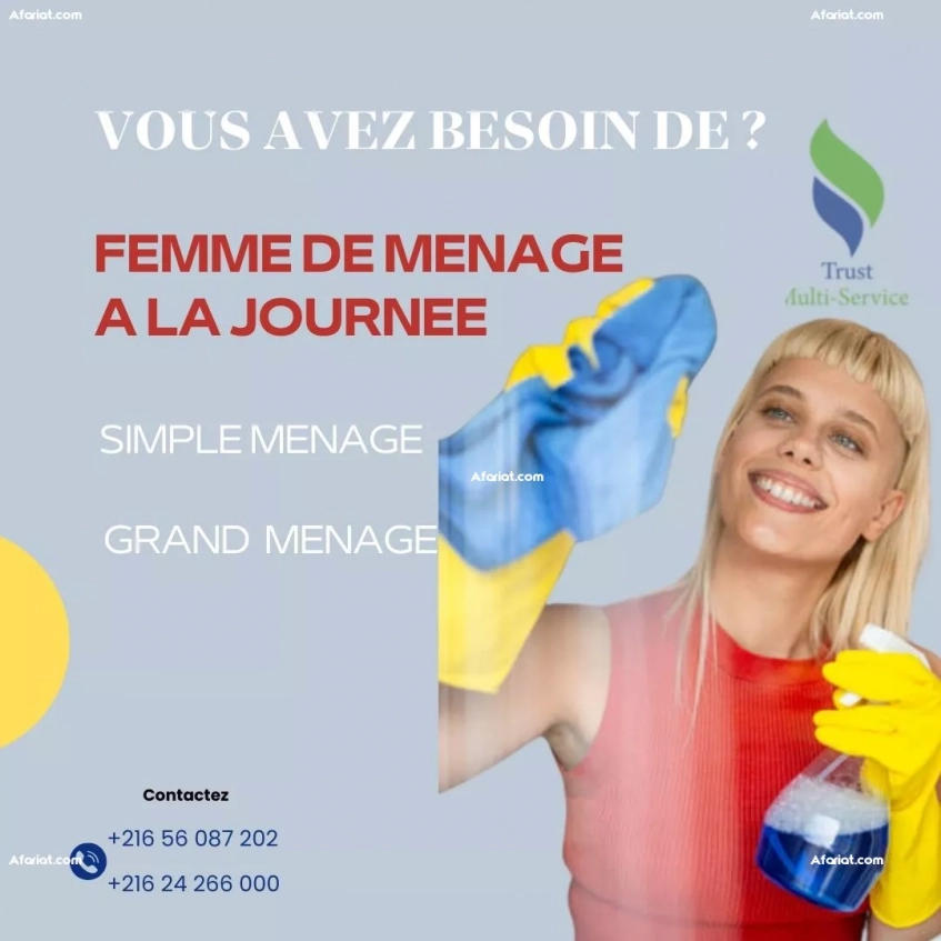 Service rapide – femme de ménage au BERGES DU LAC !"