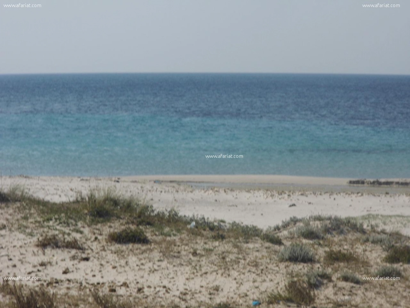 un terrain au bord de la mer à kélibia