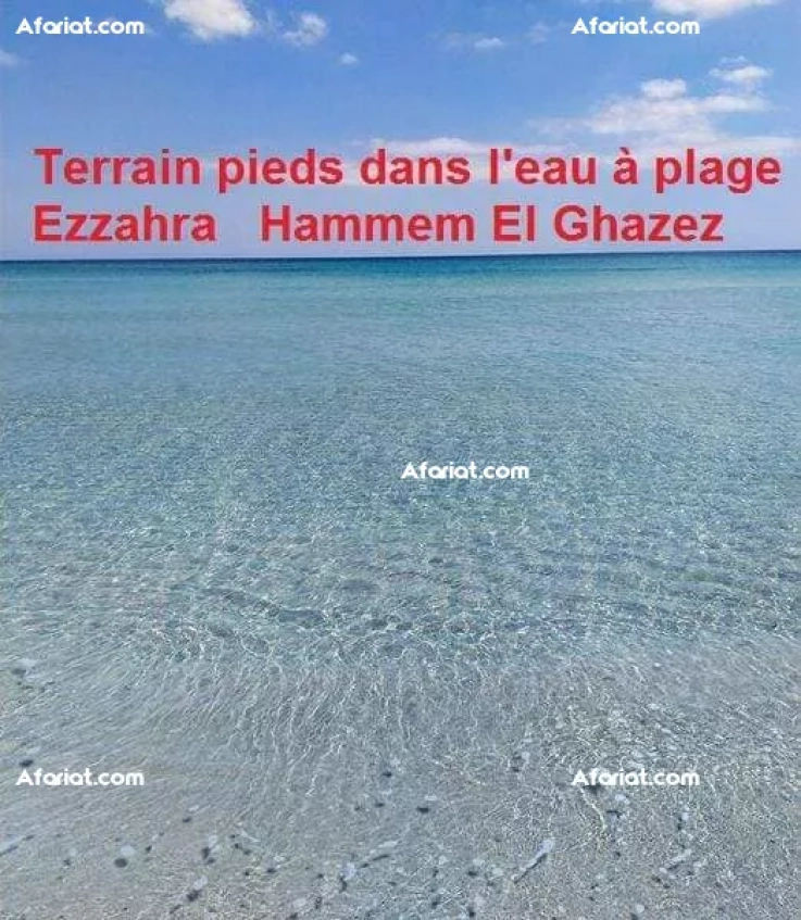 terrain les pieds dans l'eau