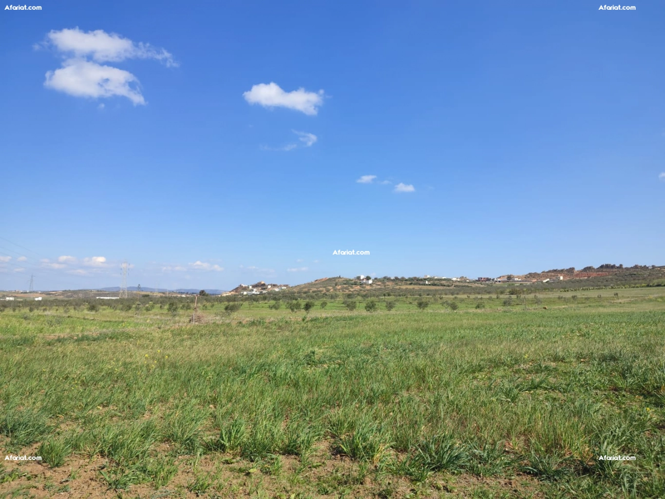Terrain agricole à vendre à Hammamet ( El Monchar)