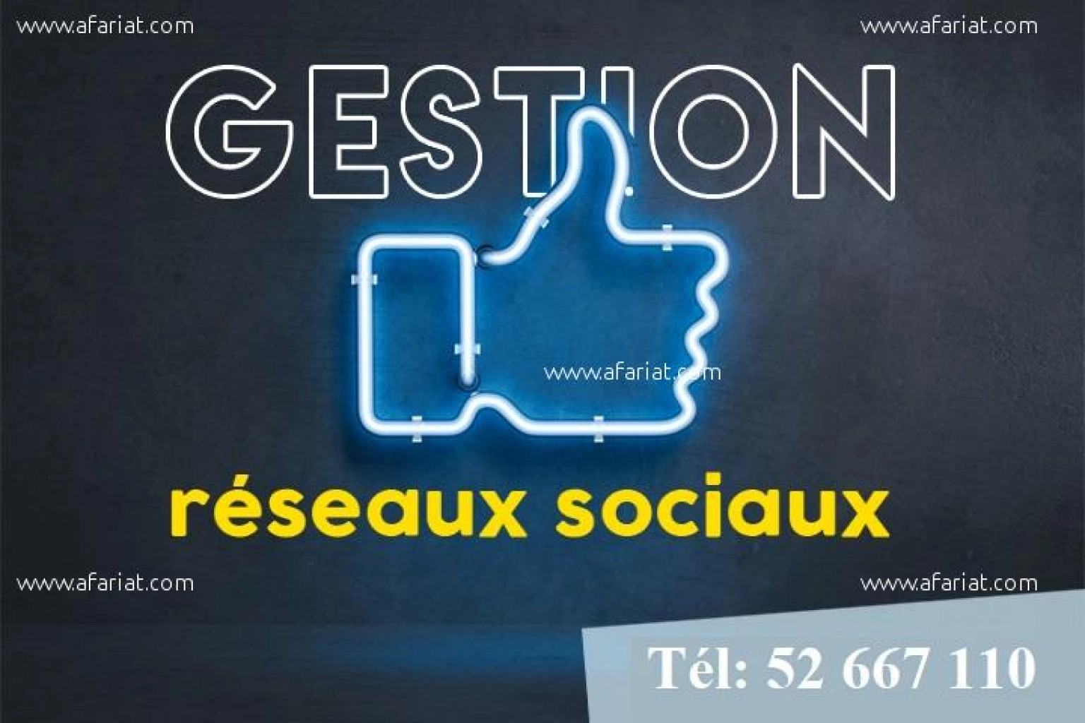 Gestion des Réseaux Sociaux