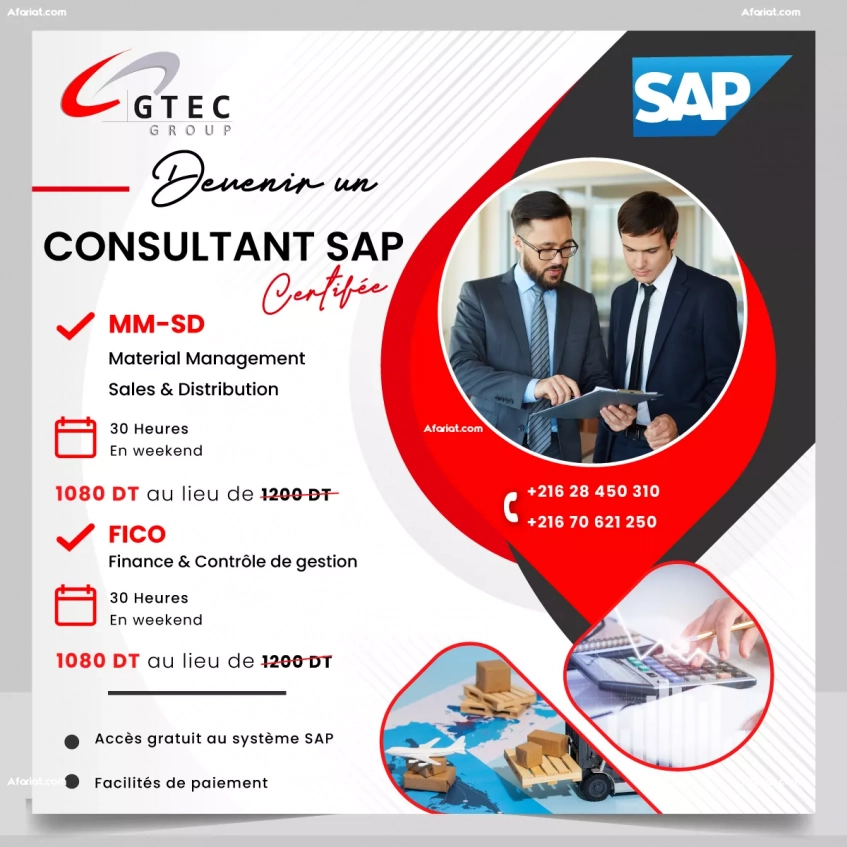 Formation SAP Fico ou SAP MM & SD en réduction jusqu'au 25%