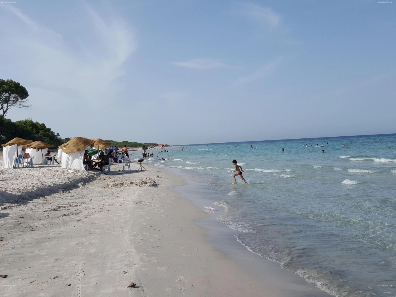 Terrain à vendre pied dans l’eau