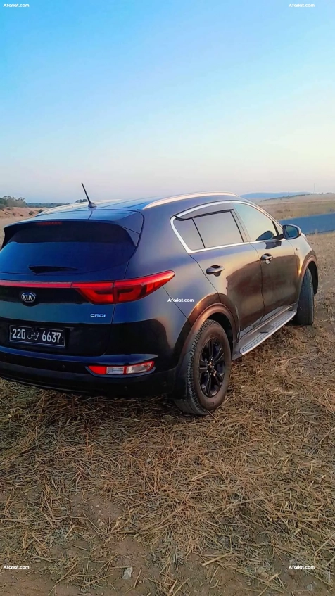 kia  sportage