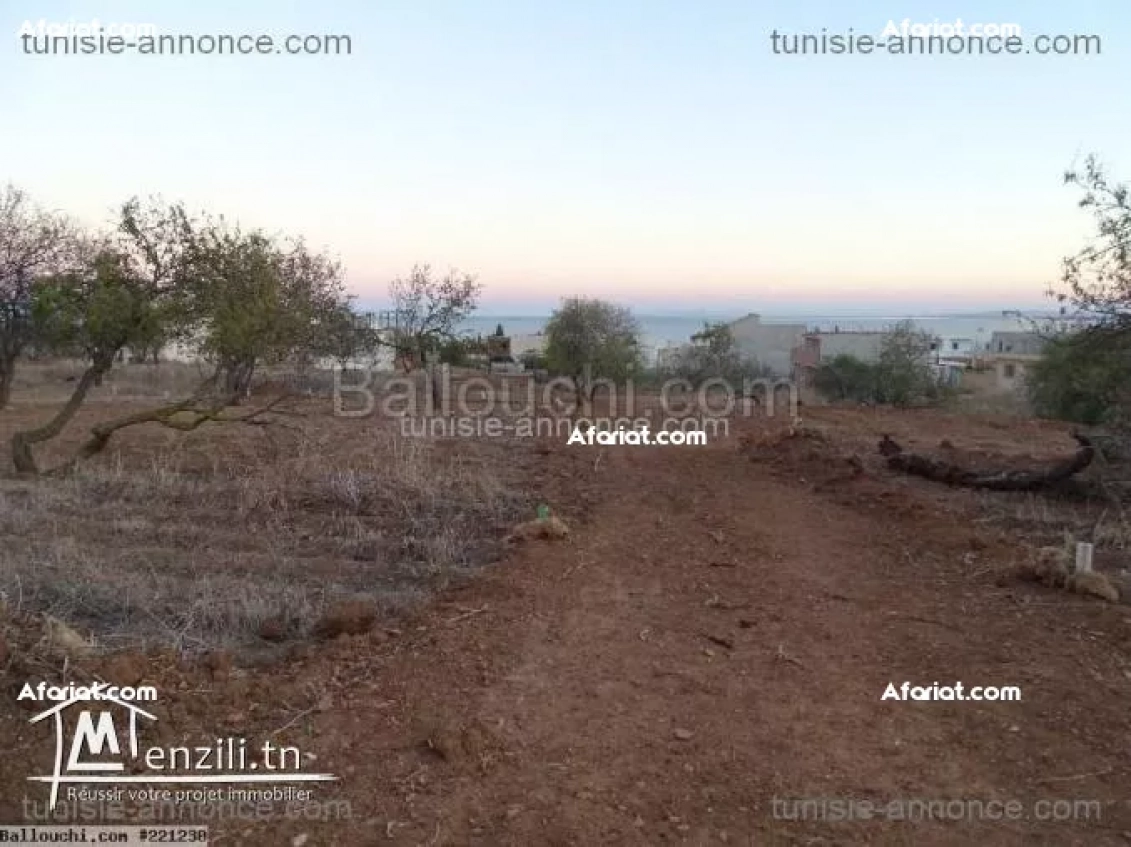 SUR LA HAUTEUR DE BEJOU GHAR MELH TERRAIN DE 8300M2