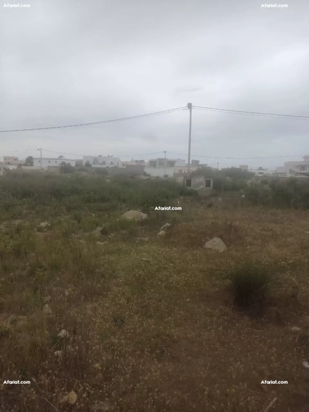 terrain raoued plage avec titre bleu