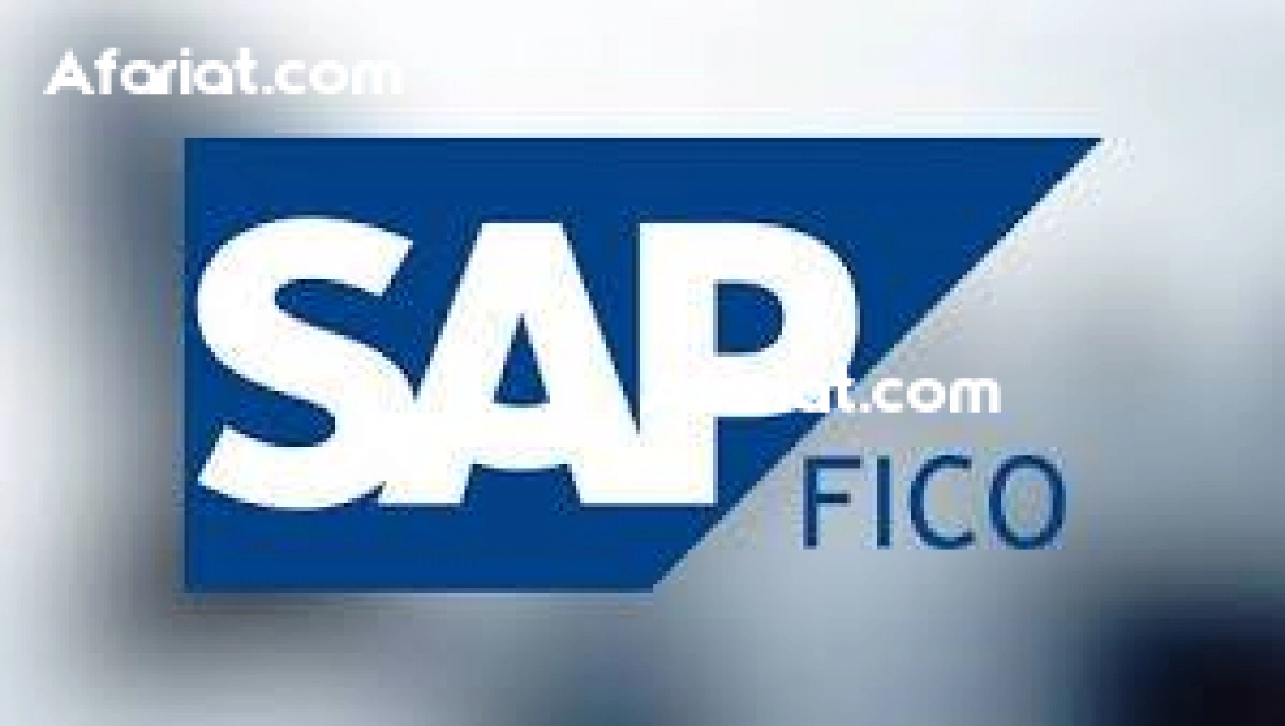 Formation SAP_FICO