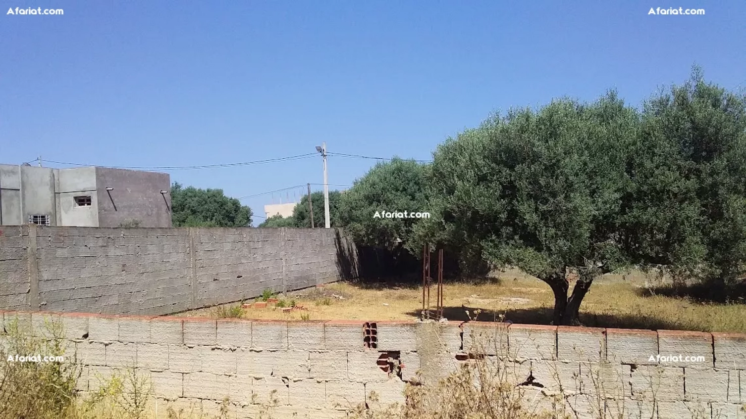 Terrain à Borj Etouil