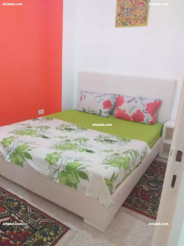 شقق مفروش آخر طراز في تونس العاصمة او كوبل